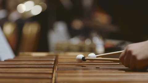 Close-up shot of musician playing xylophone. Female is performing in orchestra. She is hitting drumsticks on percussion instrument during event. Musician playing xylophone in orchestra

