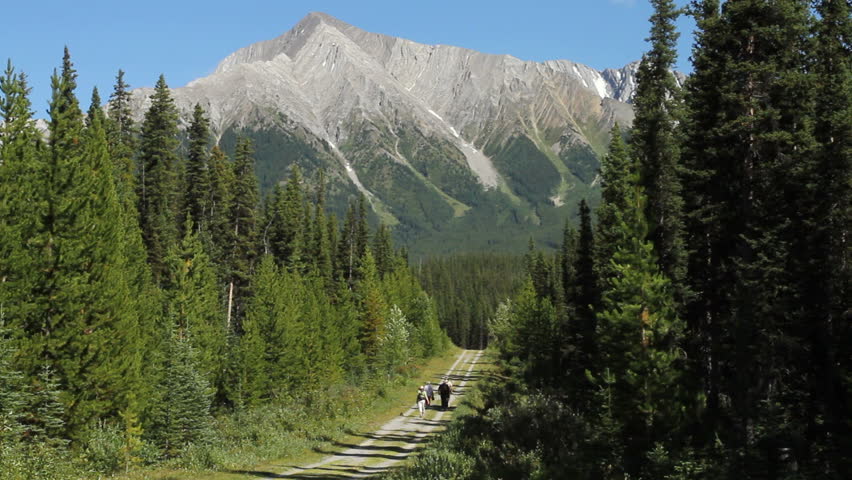 Hikers on forested mountain path