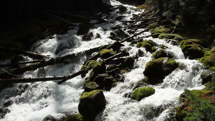 Mountain stream flowing past mossy boulders