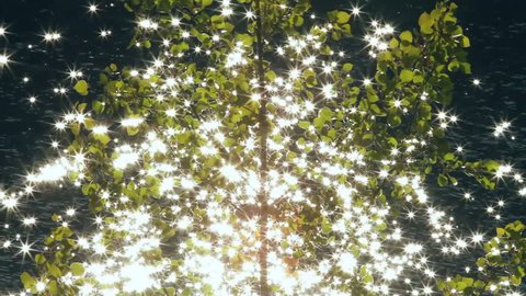 Sun sparkles on lake with autumn tree