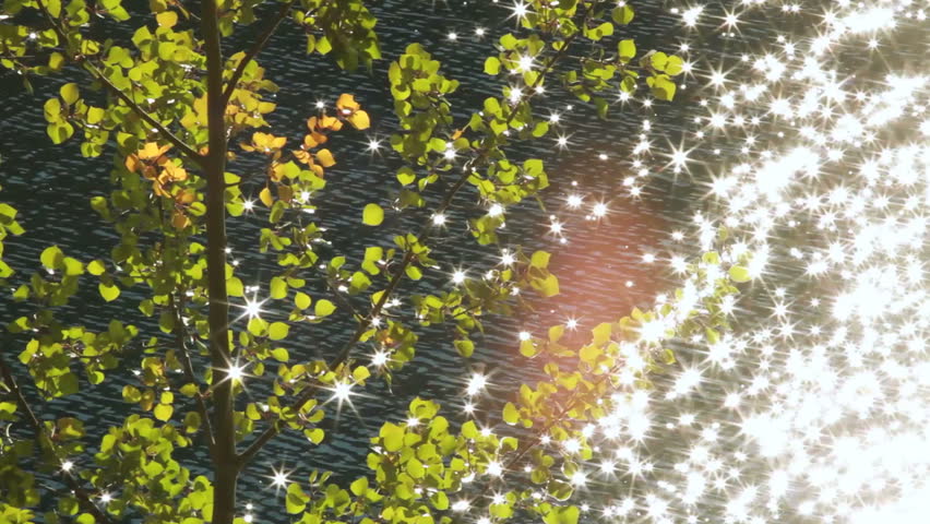 Sun sparkles on lake with autumn tree
