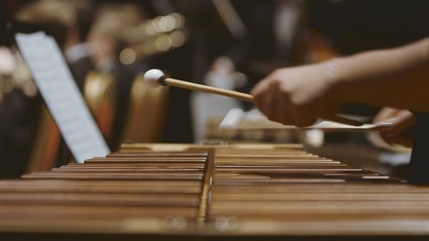 Musician playing xylophone in orchestra. Close-up shot of musician playing xylophone. Female is performing in orchestra. She is hitting drumsticks on percussion instrument during event.

