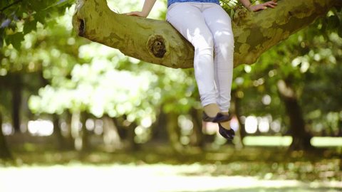 Female person legs dangling from tree branch 4K . Low angle view of female person sit on big tree branch and legs hanging down enjoying summer day in park.