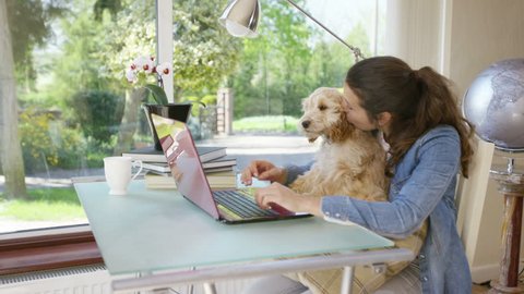 4K Woman working on laptop computer at home with cute puppy