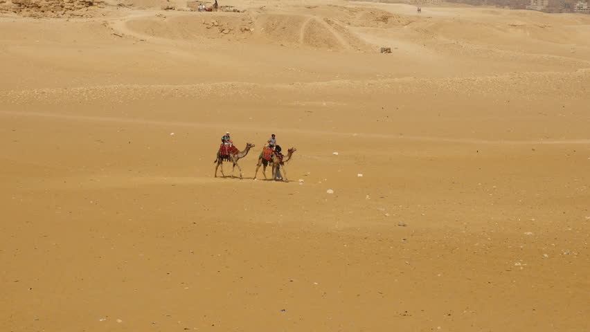 Tourists Ride A Camel Through Stock Footage Video 100 Royalty Free 15198382 Shutterstock