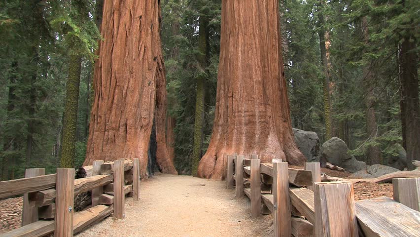 The Giant Sequoia National Monument U.S. National Monument located in the southern Sierra Nevada in eastern central California.