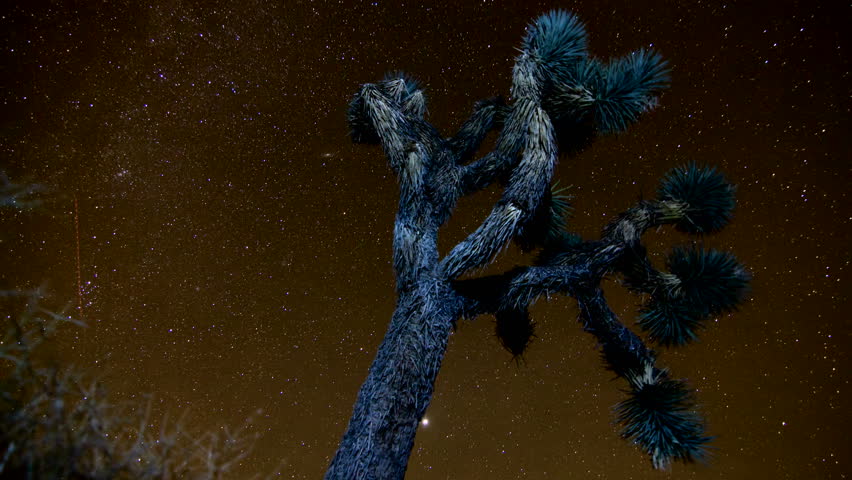 Joshua Tree star time-lapse