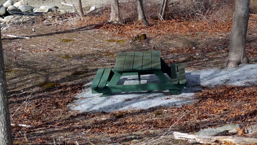 Video of a picnic table in the forest in the early springtime in Maine.