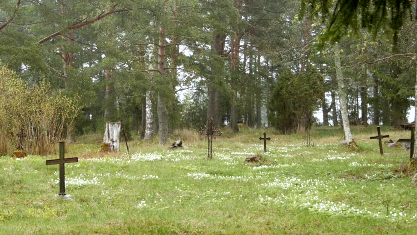 Old rainy cemetery