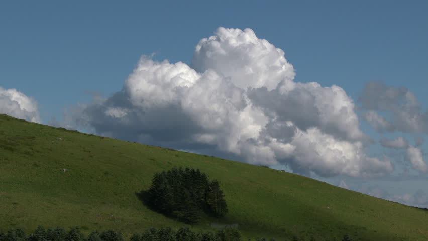 Flowery meadows and clouds time-lapse