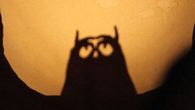 A silhouette shadow show of owl