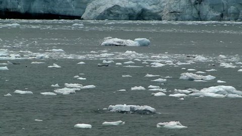 Glacier Ice Flow in Alaska