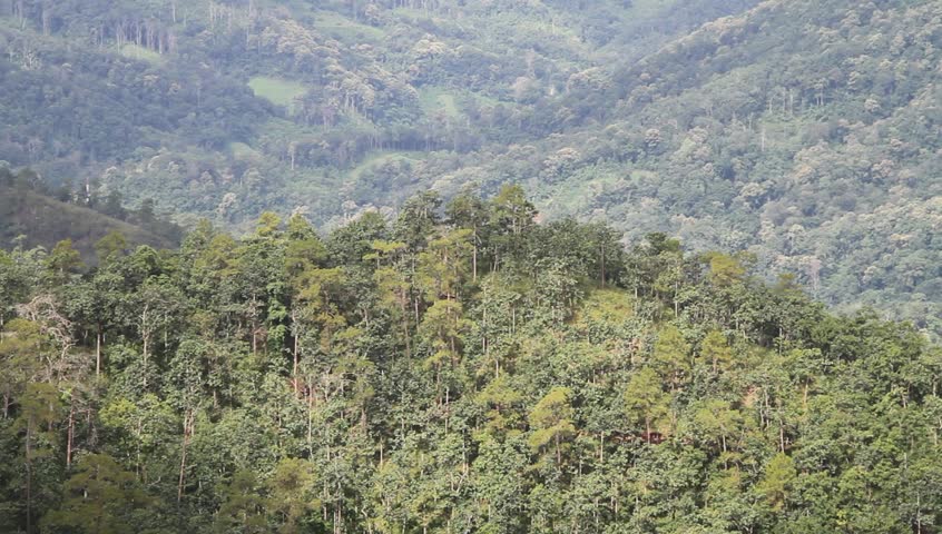 Mountain in Nothern Thailand, a Nature Video by Valery Shanin