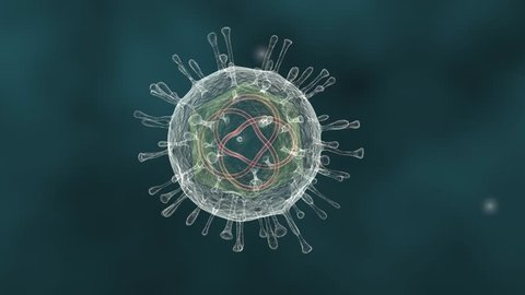 A looping animation of a single Virus floating depicted with the surrounding protein envelope encapsulating the inner icosahedral capsid that contains the viral genome