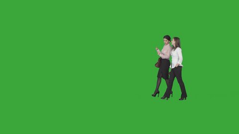 Two stylish business women, professionals, are chatting about their job & going at work to office. Green screen footage. File format - .mov, codec PNG+Alpha. Shutter angle -180 (native motion blur)