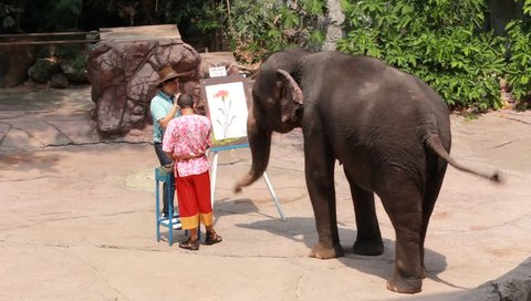 BANGKOK, THAILAND - March 8: Artistic Elephant drawing a picture in elephant show at Safari world March 8, 2016 in Bangkok, Thailand.