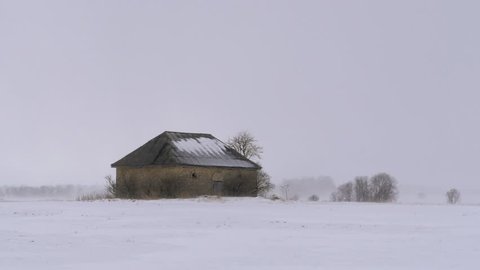 An old barn in the field, in snowfall