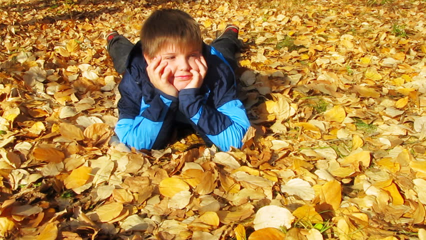 young boy in autumn park
