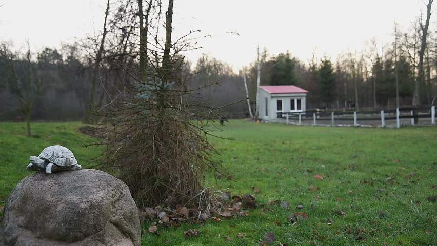 Horses on the farm _06