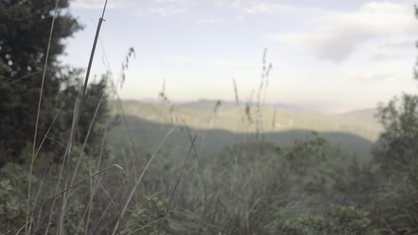 Young Adult Female Traveling and taking picture on view point