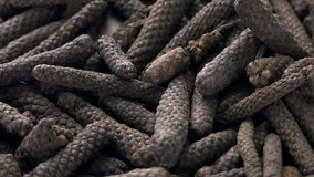 Portion of Long Pepper (not loopable; 4K)
