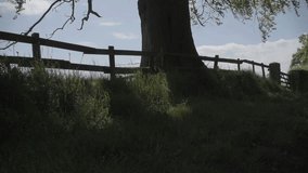 The British Countryside / The clip shows the true British countryside of single lane tracks with hedges and old oak trees