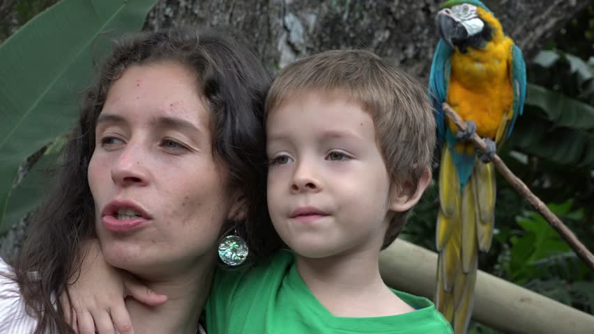 mother son zoo Stock Footage Video (100% Royalty-free) 15382576 ...