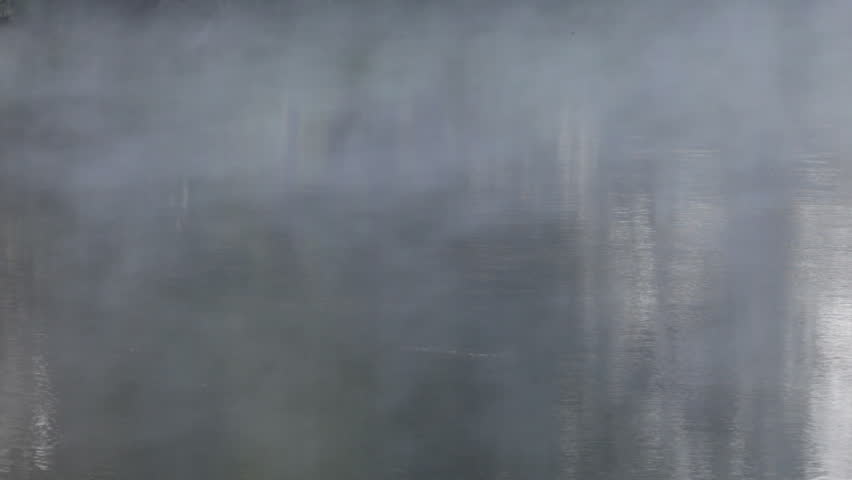 fog morning wood stock footage video 100 royalty free 1538872 shutterstock shutterstock