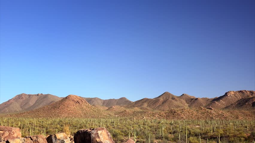 Hohokam Petroglyphs at Signal Hill in Saguaro National Park