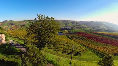 Aerial view of spectacular and colorful autumn Vineyard in italian countryside. Castelvetro di Modena, Italy.