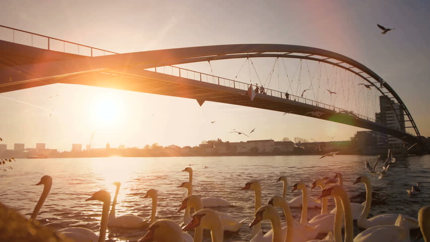 peaceful life balance symbol background. bridge road scenery at sunset sky