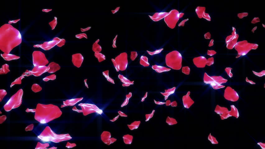 Rose Petals Falling On Black Stock Footage Video 100 Royalty Free Shutterstock