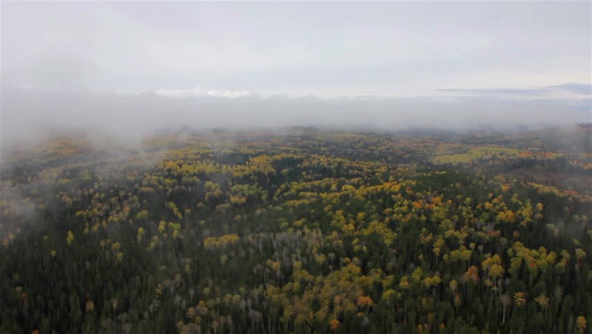 clouds over the taiga, fly, Eastern Siberia