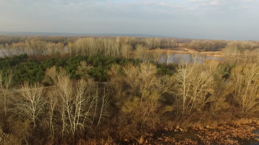 Flying over the coast of the great river. Spring morning. Aerial view
