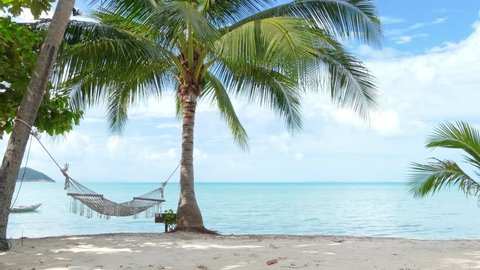 Hammock and palm trees on the beach