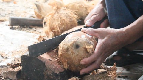 Peeling coconuts