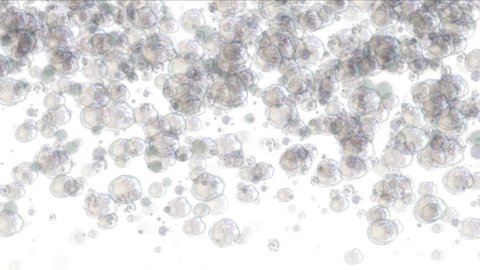 4k splash bubbles,float quicksilver mercury blisters,underwater drop transpiration,soda boiling,gases liquids water,beverages soft-drinks particle. 3116_4k