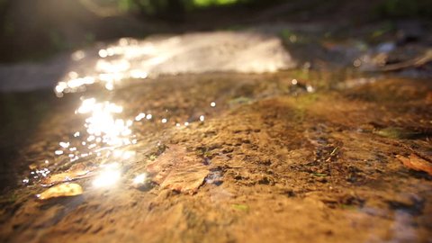 stream close-up and sun glitter Stockvideó