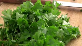 Portion of Parsley (not loopable; 4K)