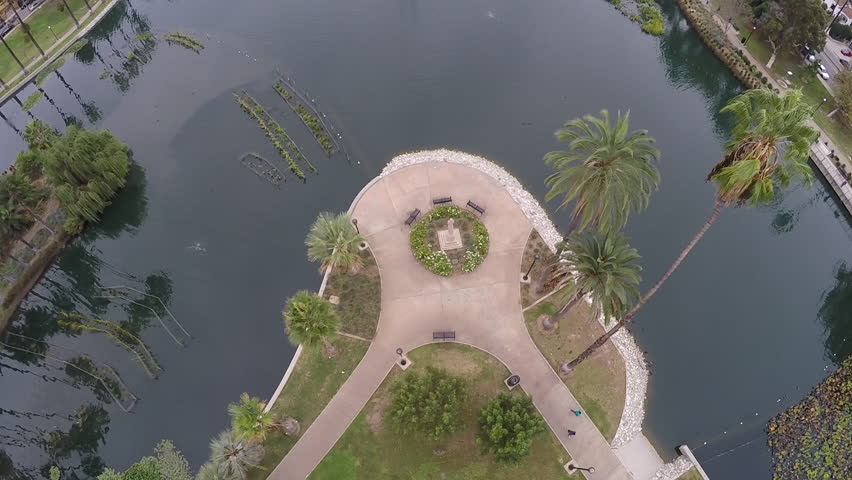 Palm Tree from above at Echo Park. 