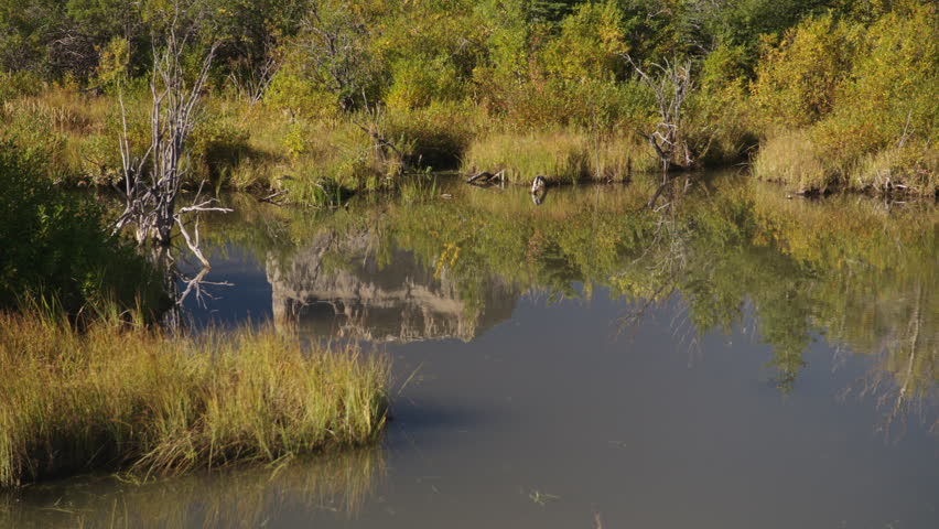 Camera tilts up to reveal scenic view of Chief Mountain, Glacier National Park, Montana.  4K.