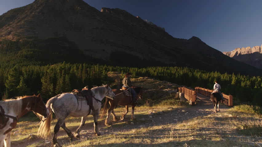 Pack horses at walking on trail in Glacier National Park, Montana.  4K.