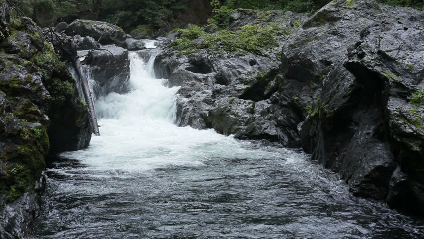 Waterfall in Olympic National Park, Washington, USA