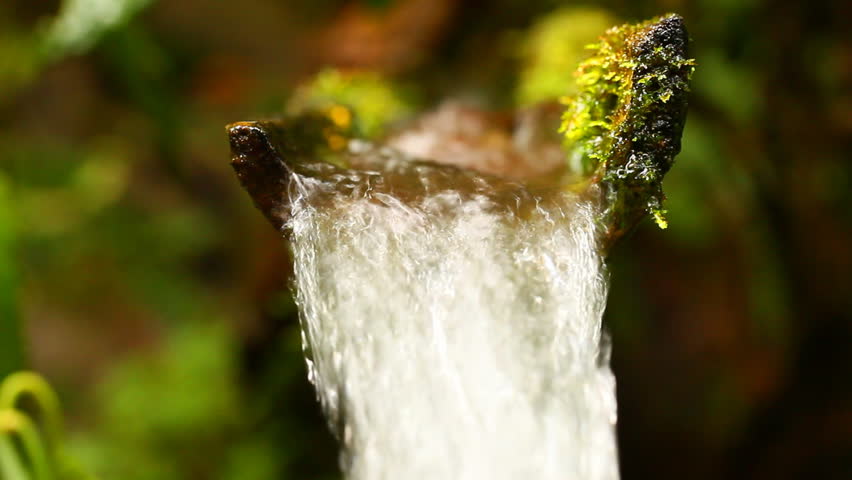 Water falling through a bamboo made pipe in ecuadorian rainforest.