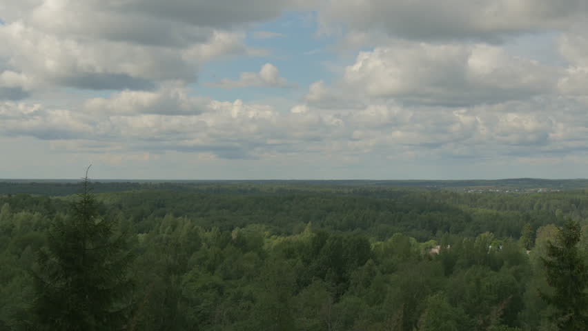 Panorama of forest landscape under the cloudy sky of Northern Russia. The orthodox monastery can be seen in the ending.