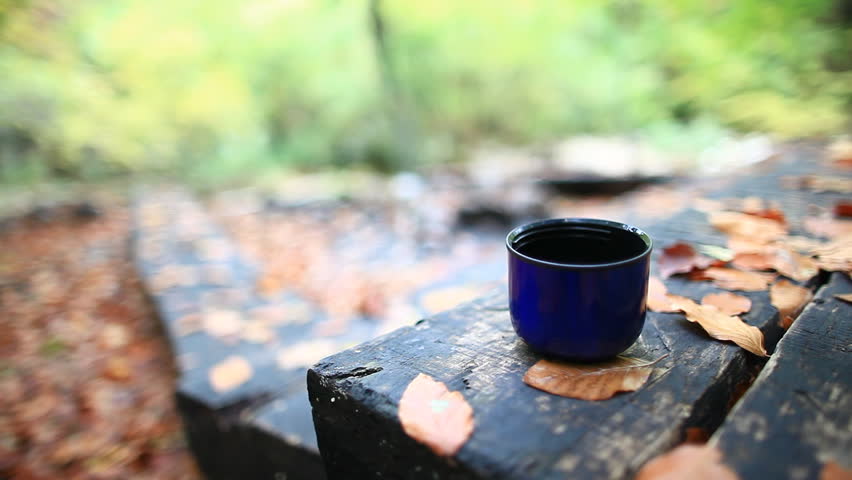 A coffee break during a autumn travel  