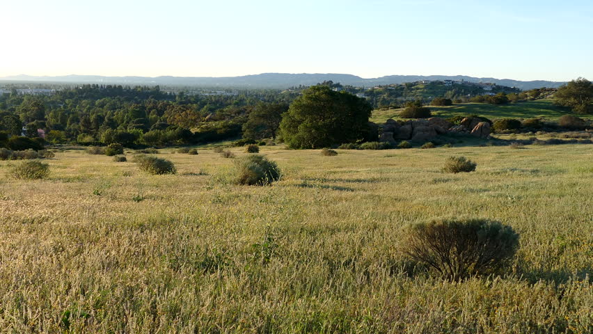 Windy spring grasslands meadow at the edge of Los Angeles in Santa Susana Pass State Historic Park.