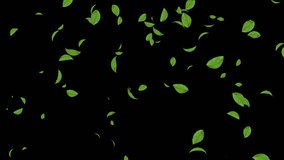 HD Loopable Falling Leaves Animation