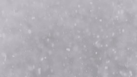 4 in 1 video! The heavy snowfall in a forest. Real time capture, aerial shot