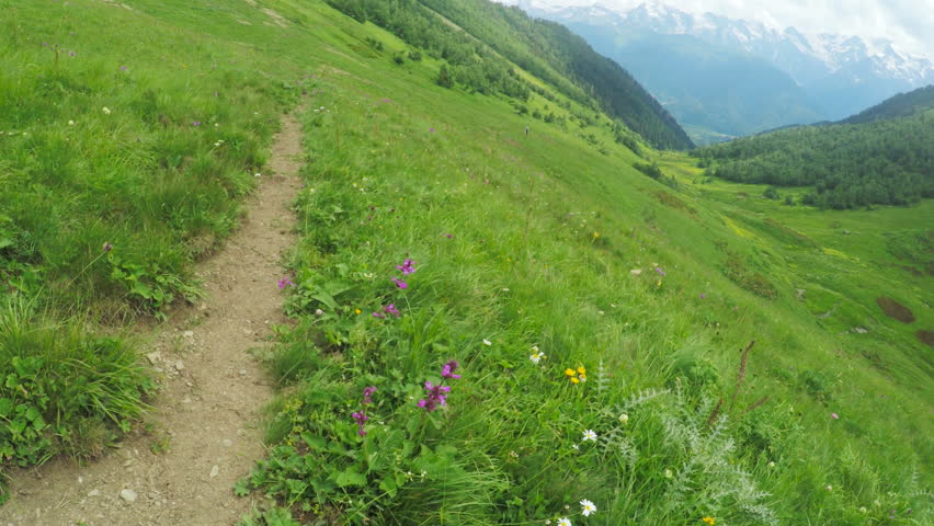 Path in alpine meadows